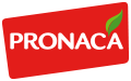 Pronaca